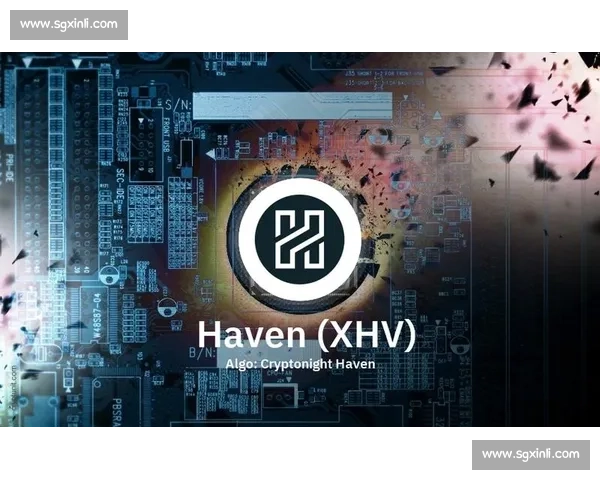 深入解析胜利VS850线性能特点与适用人群及实战体验评测指南 深入解析胜利VS850线性能特点与适用人群及实战体验评测指南